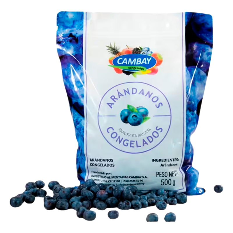 Arándanos Congelados Cambay 500 G