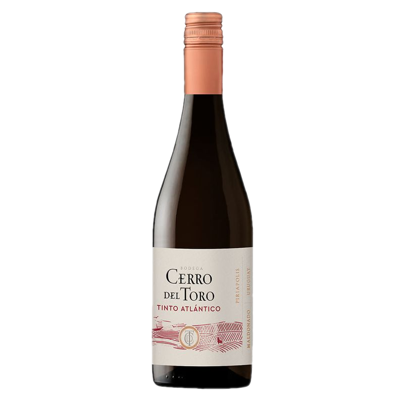 Vino Tinto Tannat Atlántico Cerro Del Toro 750 Ml