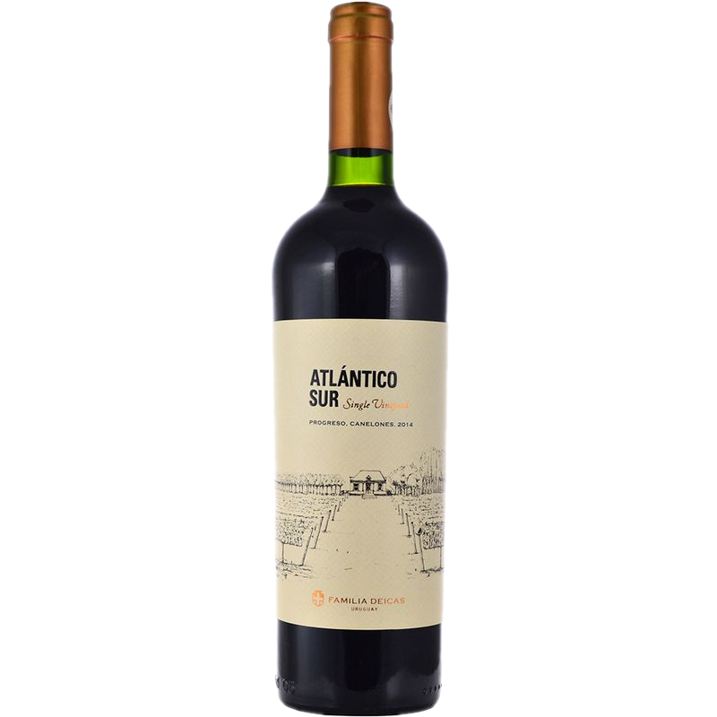 Vino Tinto Progreso Atlántico Sur 750 Ml