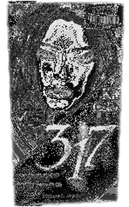 Color 317 Negro Intenso 1
