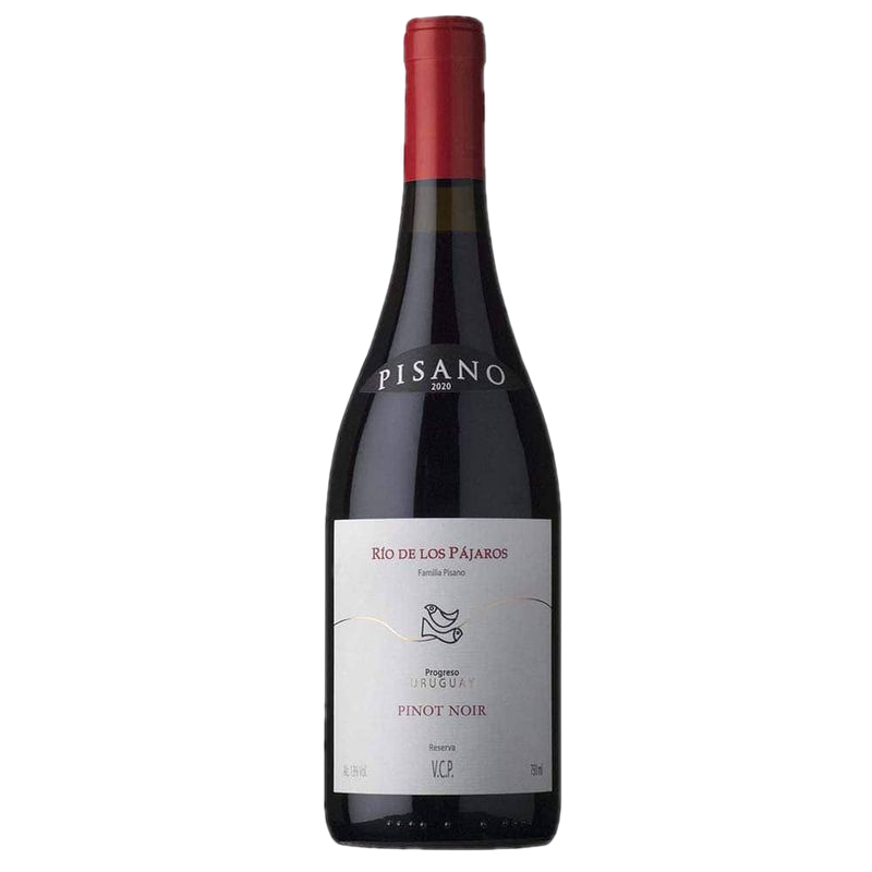 Vino Pinot Noir Río De Los Pájaros Pintados 750 Ml