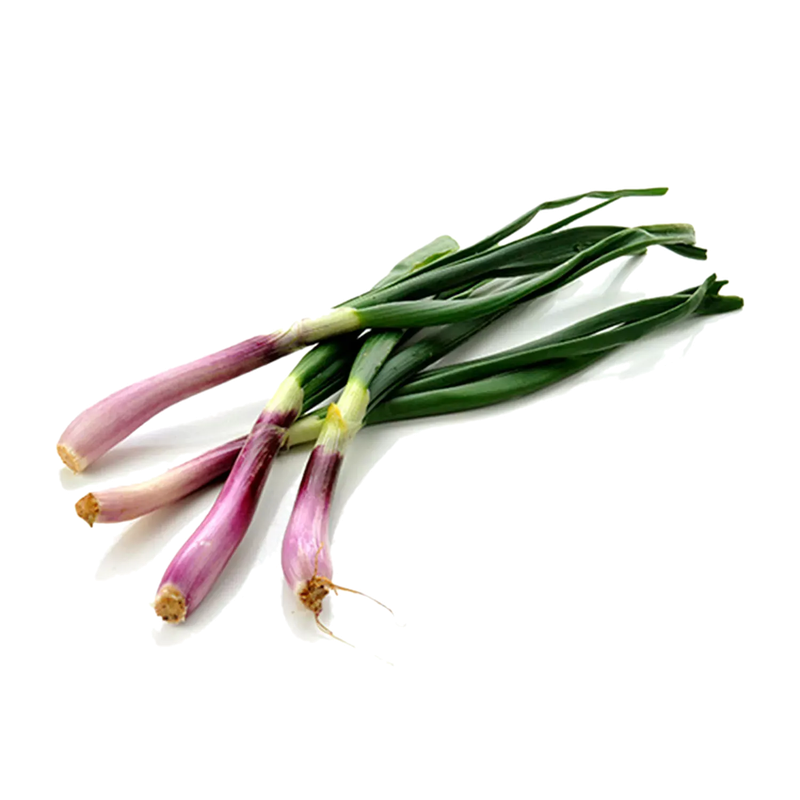 Cebollita De Verdeo Saladfresh 5 Unidades