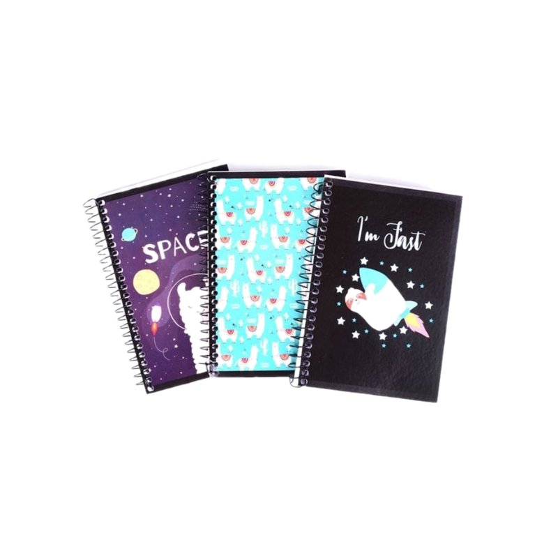 Libreta Caballito Con Espiral Disenos Surtidos 96 H
