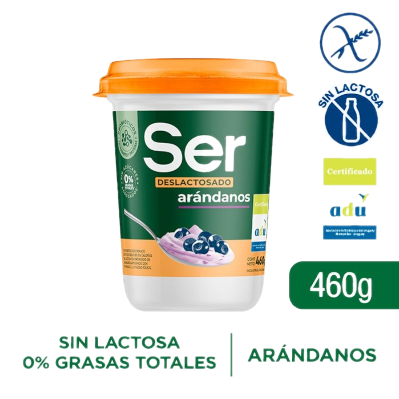 Yogur Ser Deslactosado Arándanos 460 G