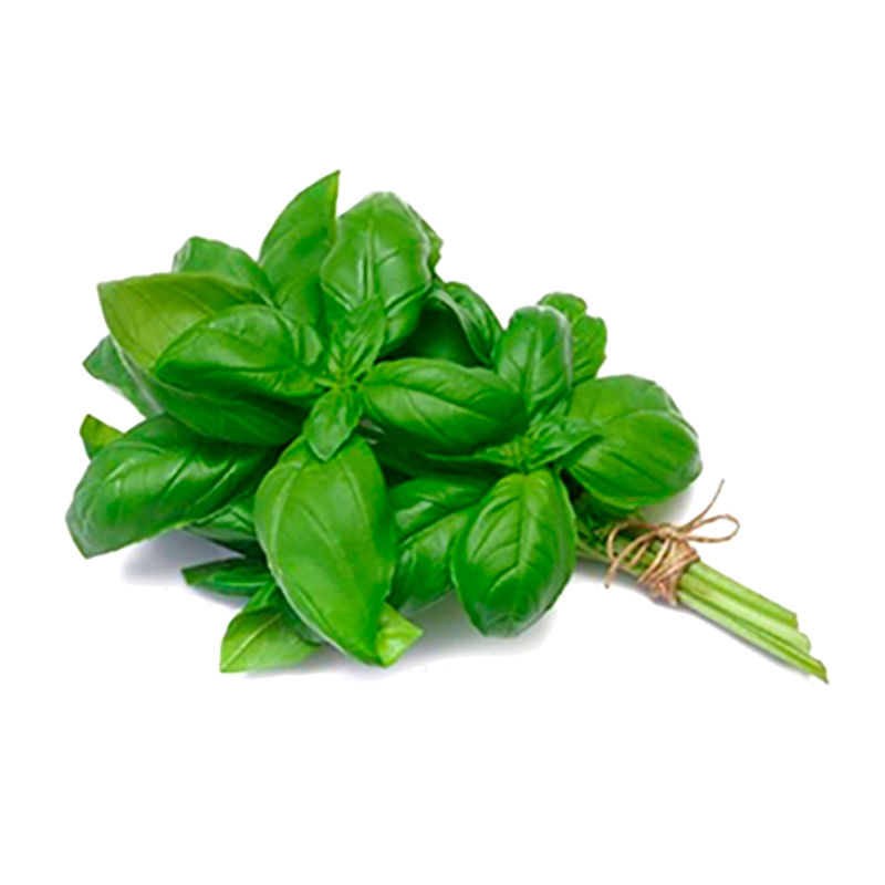 Albahaca 25 G