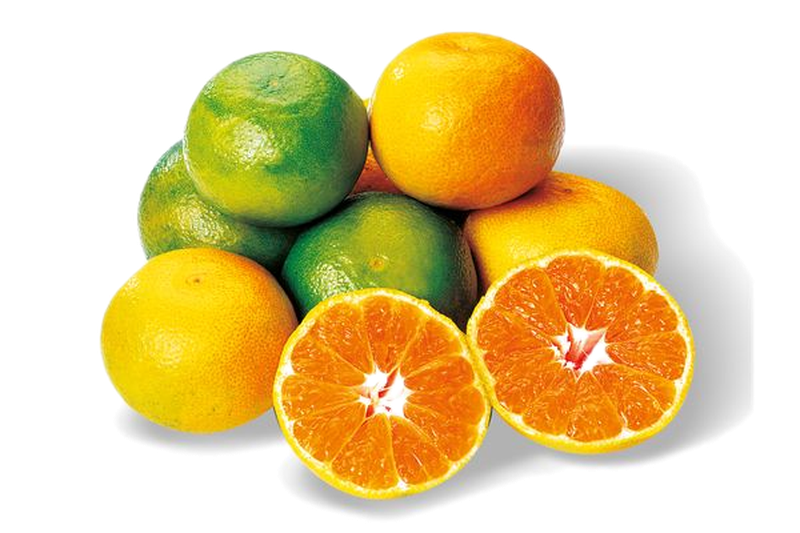 Mandarina Satzuma Kg