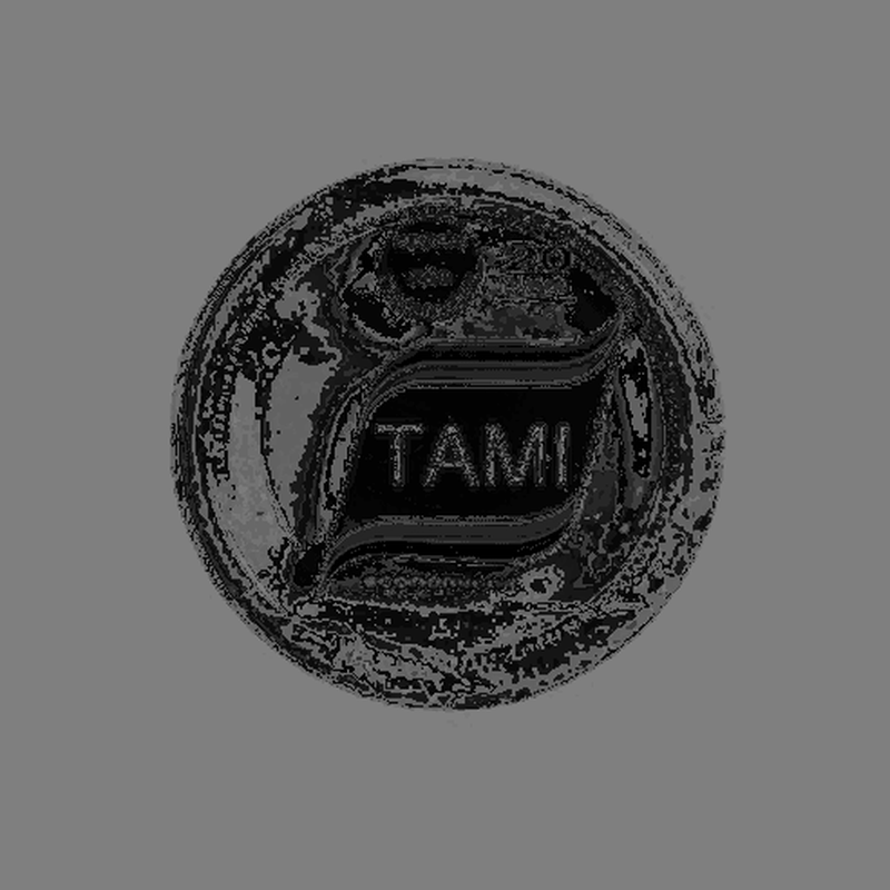Plato Tami Descartable 18cm 20 Unidades