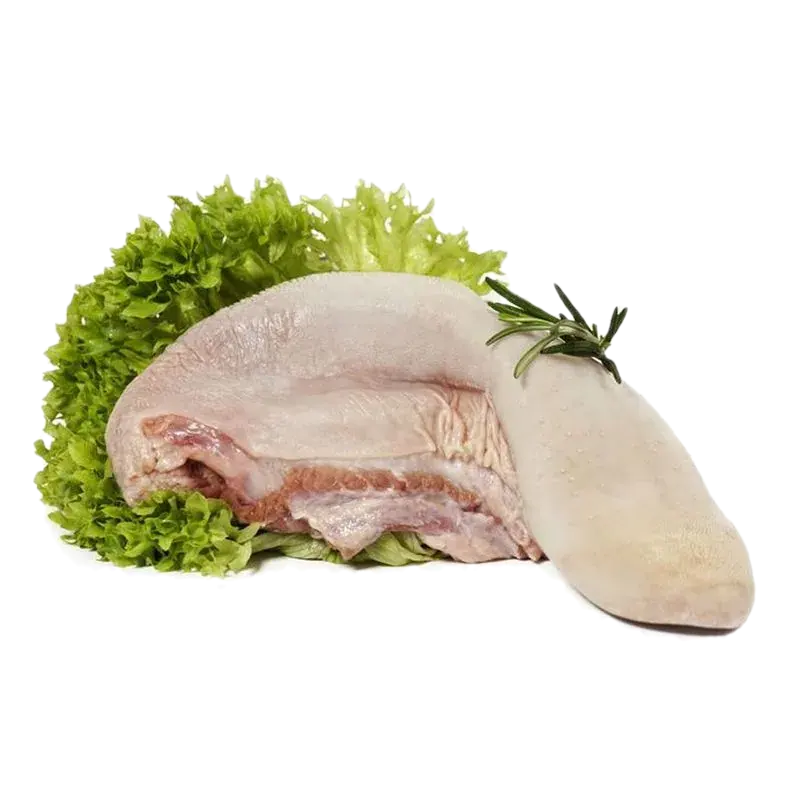 Lengua