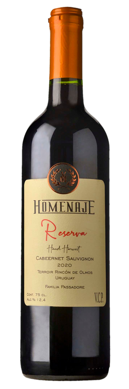 Vino Homenaje Tinto Cabernet Sauvignon 750 Ml