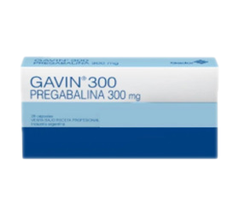 Gavin 300 300 Mg [28 Cap.]