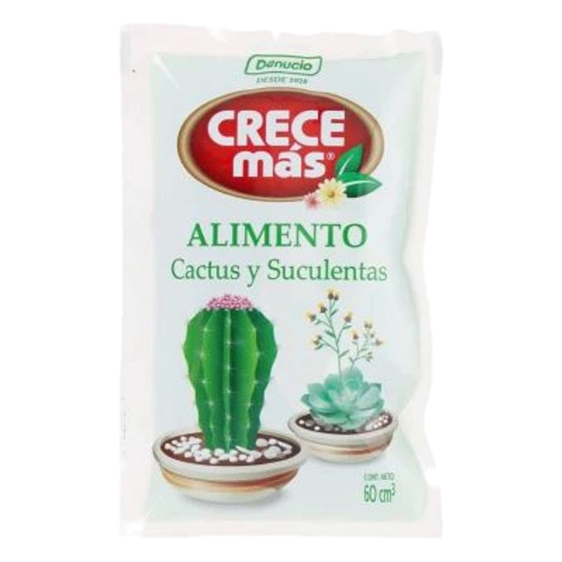 Crece Más Cactus Y Suculentas