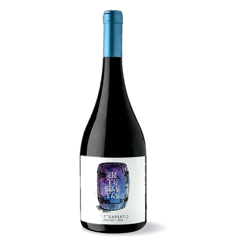 Vino Botteaperto Entusiastas Tinto Blend 750 Ml