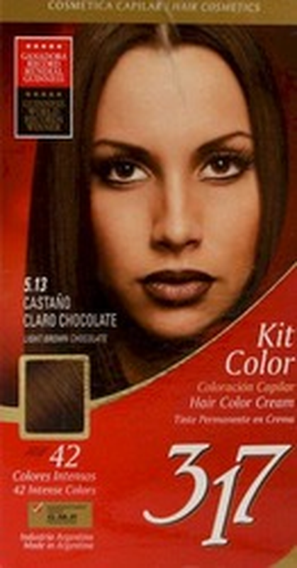 Tinta 317 Cast.claro Choc 5.13