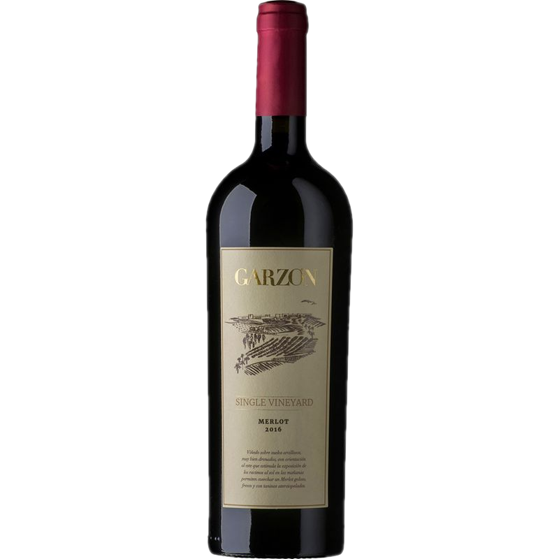 Merlot Single Vineyard Garzón Tinto