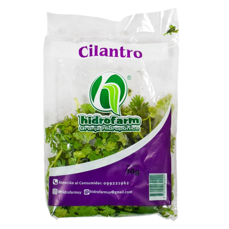Cilantro Hidropónico Vegetales Baby 30 G