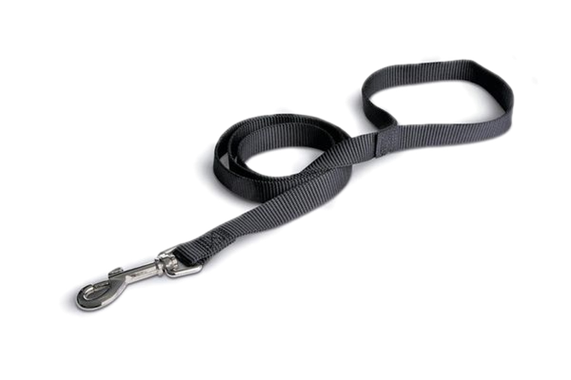 Correa Mediana Denucio Para Perro 20 Mm 1.20 Mt
