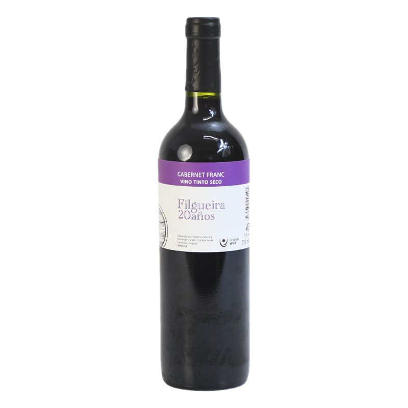Vino Filgueira 20 Años Cabernet Franc 750 Ml