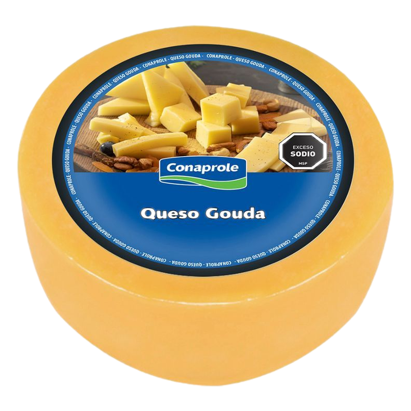 Queso Gouda Conaprole Kg