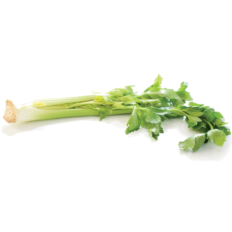Apio Gusto Orgánico