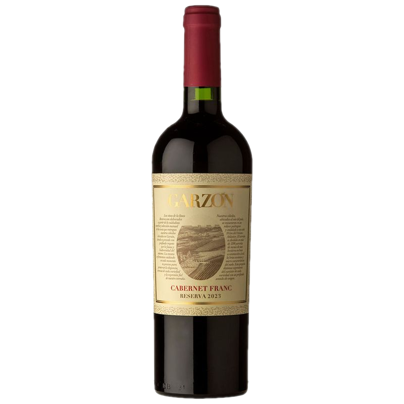 Vino Tinto Cabernet Franc Reserva Garzón 750 Ml