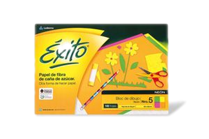 Block De Dibujo Color Éxito A4 24 Hojas 120 G