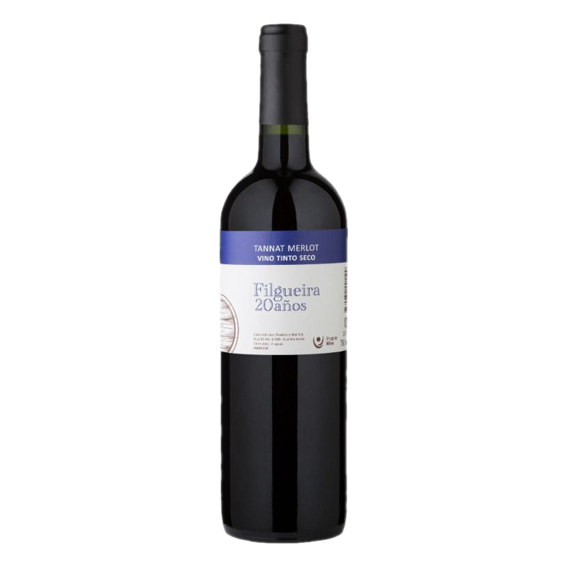 Vino Filgueira 20 Años Tannat 750 Ml