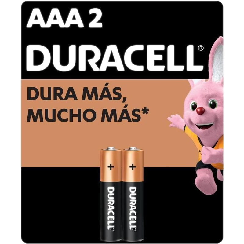 Pilas Alcalinas Duracell Aaa Blister 2 Unidades