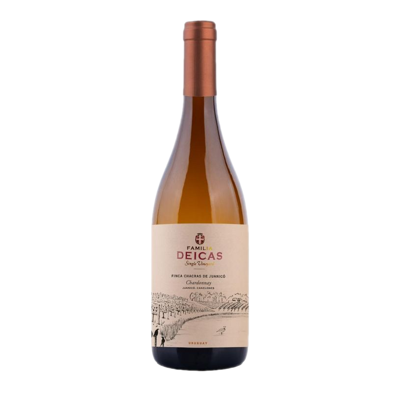 Vino Blanco Atlantico Sur Chardonnay Juanico