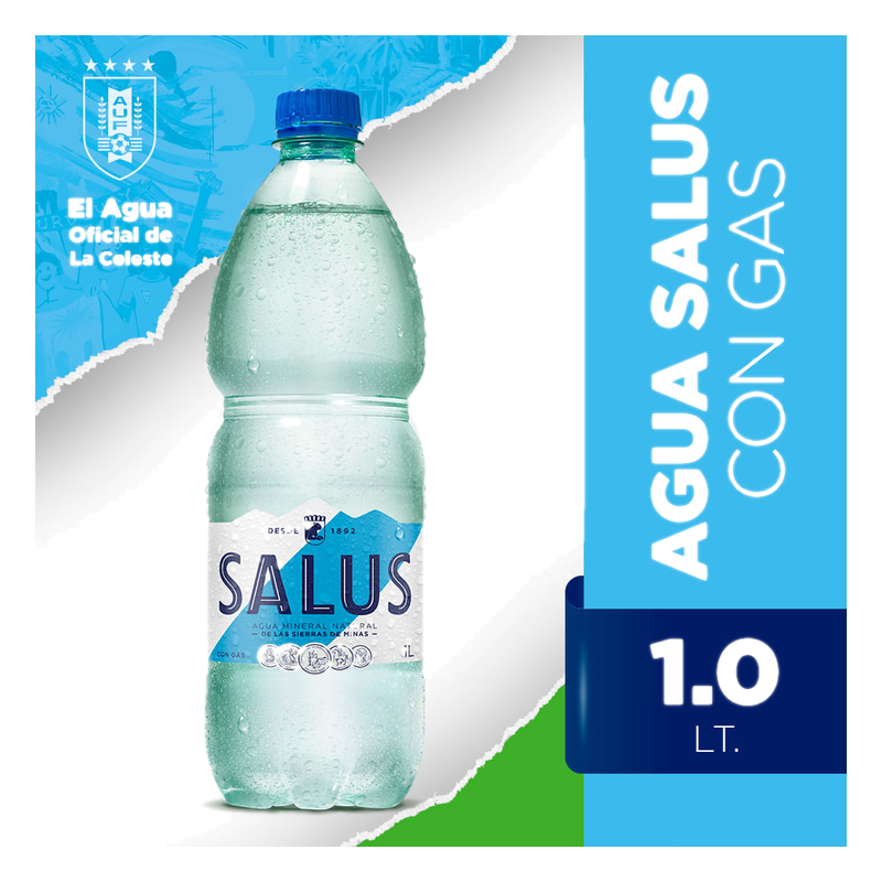 Agua Mineral Natural Salus Con Gas 1 L