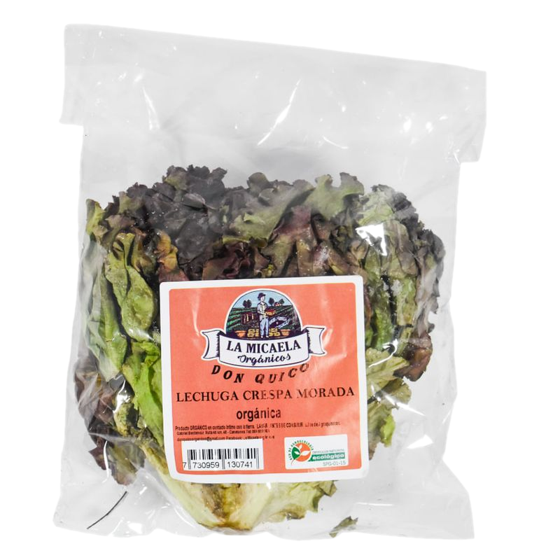 Lechuga Crespa Morada Orgánica La Micaela