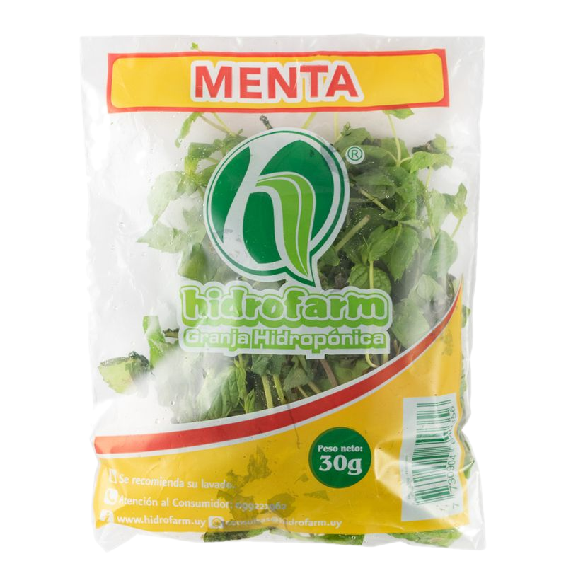 Menta Hidropónica 30 G