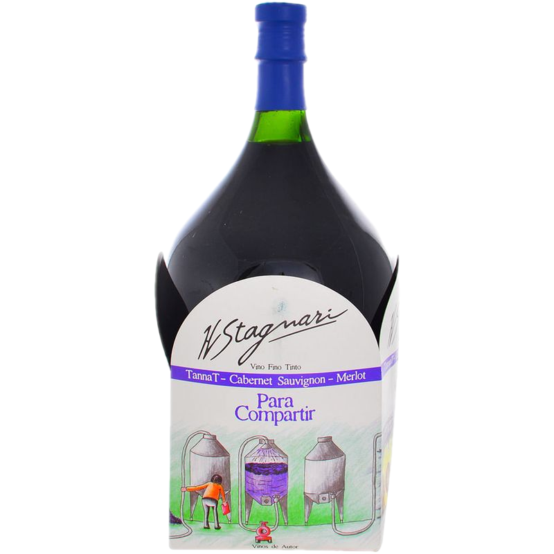 Vino Tinto Cabernet Sauvignon H. Stagnari 2 L