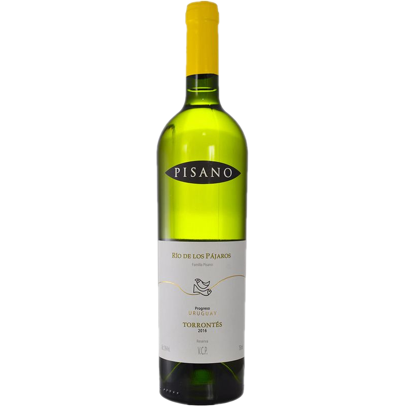 Vino Blanco Pisano Torrontés Río De Los Pájaros Pintados
