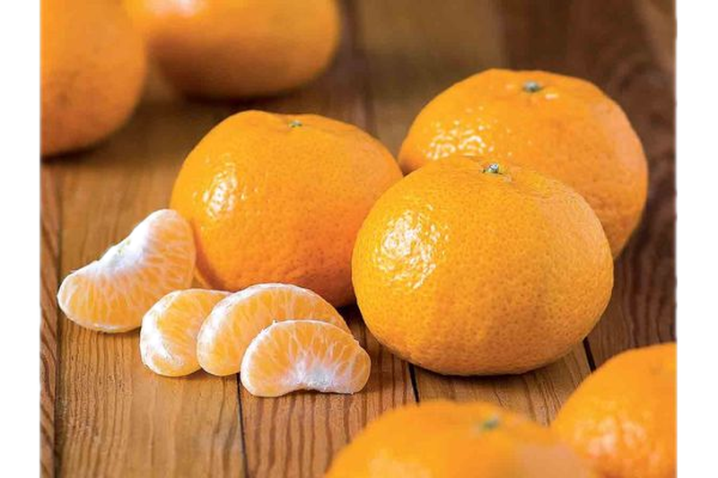 Mandarina Tangerina Kg