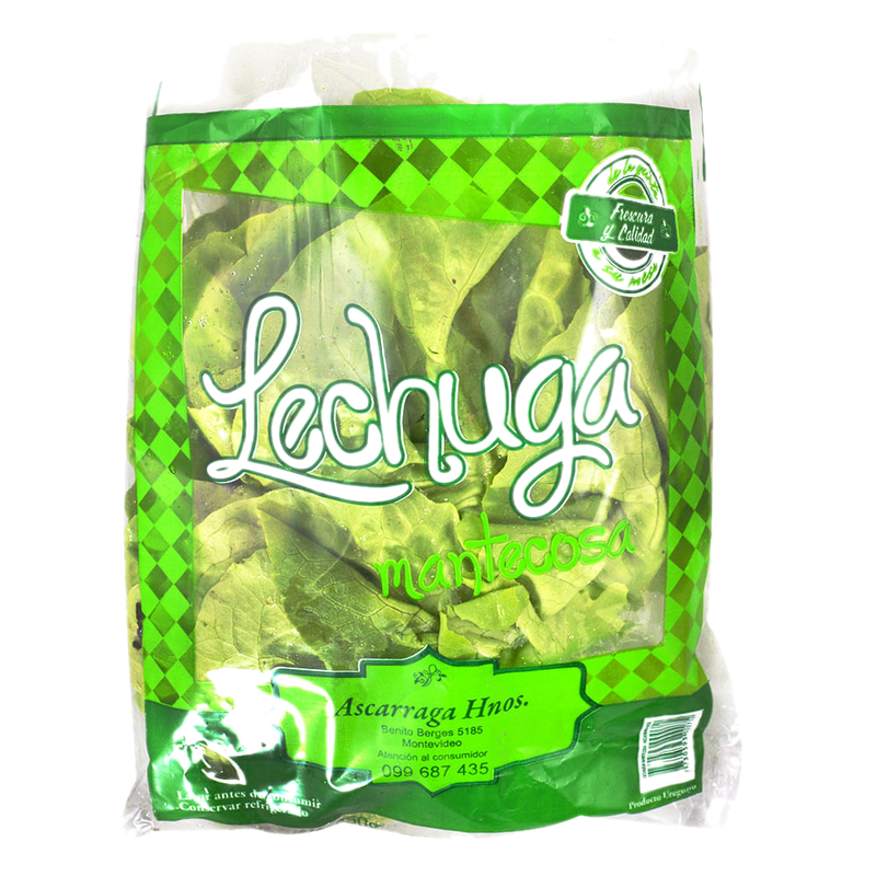 Lechuga De Invernáculo