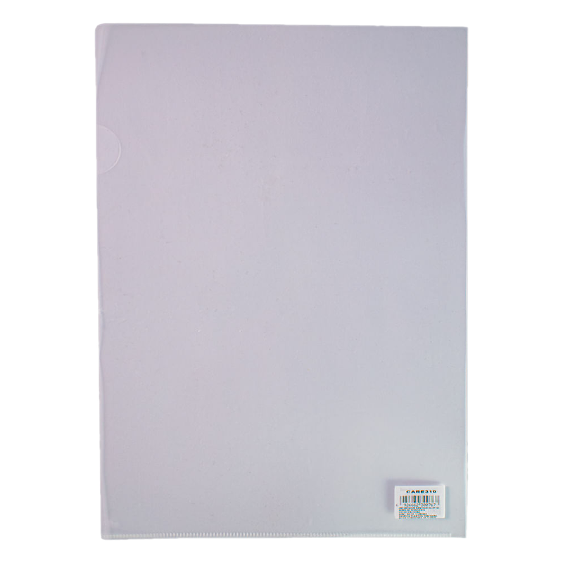 Carpeta Teoría A4 En L Tapa Transparente